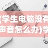 (学生电脑没有声音怎么办)学校电脑为什么没有声音，原因解析与解决方案