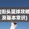 (街头篮球攻略及基本常识)街头篮球攻略Neogeo，实战技巧与策略解析