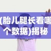 (小虾米战三国藏宝图)小虾米战三国，蜀国最强阵容揭秘