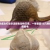 厦门海关成功打击非法野生动物交易，一举查获12只濒危物种印度星龟