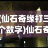 (仙石奇缘打三个数字)仙石奇缘，一段神秘奇幻之旅的探寻