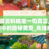 管家婆资料精准一句真言,探寻城市中的隐秘美景_先锋版MIixue.3.628