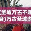 (全职猎人猫女是男是女)全职猎人中的猫女，神秘与魅力的交织