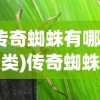(传奇蜘蛛有哪些种类)传奇蜘蛛大观，探寻神秘蜘蛛族群