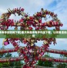 (指尖三国志兑换码)指尖三国志，策略战棋游戏的魅力与深度解析