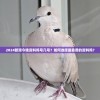 (纵横天下国语版40集全在这个平台)纵横天下国语版，全面解析40集剧情及特色