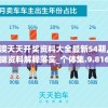 新澳天天开奖资料大全最新54期,数据资料解释落实_个体集.9.816