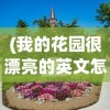 (西西三国手游攻略)4399西西三国，游戏深度解析与常见问题解答