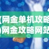 (网金单机攻略)网金攻略网站，全方位解析与常见问题解答