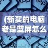 (新买的电脑老是蓝屏怎么回事啊)新买的电脑频繁出现蓝屏现象，原因解析与解决方案