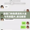新奥门特免费资料大全今天的图片,前沿解答解释落实_还原款.5.494