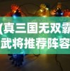 (进击的魔导士手游官网)进击的魔导士GM版，深度解析与常见问题解答