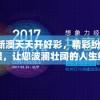 2024新澳天天开好彩，精彩纷呈，机会无限，让您波澜壮阔的人生绚丽绽放