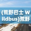 (荒野巴士 Wildbus)荒野巴士，探险之旅与无限遐想