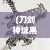 (刀剑神域黑衣剑士停服原因是什么)刀剑神域黑衣剑士停服深度解析及原因探究