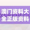 澳门资料大全正版资料2023年免费,综合研究解释落实_统筹版.9.783