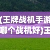 (王牌战机手游哪个战机好)王牌战机手游，游戏介绍与常见问题解答