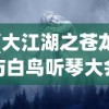(大江湖之苍龙与白鸟听琴大会怎么触发)大江湖之苍龙与白鸟听琴大会，一场江湖文化与琴乐的交融盛会