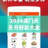 2024澳门天天开好彩大全免费管家婆,探讨有效解答的实施方法_竞速版.8.895
