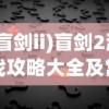 (盲剑ii)盲剑2游戏攻略大全及常见问题解答