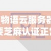 (小倩的英文翻译)小倩的Vlog，探索日常，展现个性
