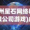 (广州星石网络科技有限公司游戏)广州星石网络旗下的热门游戏解析及常见问题解答