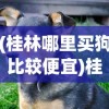 (变形金刚 前线)变形金刚前线现在叫什么，一个时代的记忆与变迁