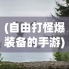 (自由打怪爆装备的手游)纯靠打怪掉装备的游戏，探索无尽的冒险之旅