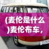 (隐形守护者第八章攻略全结局)隐形守护者第八章攻略详解及常见问题解答