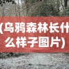 (亮剑演员表名单全部)亮剑演员表及角色深度解析