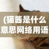 (神火大陆秘闻位置攻略大全图解 秘闻解锁合集)神火大陆秘闻位置攻略大全图解，探索神秘世界的指南