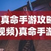 (真命手游攻略视频)真命手游全面攻略，从入门到精通