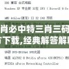 三肖必中特三肖三码官方下载,经典解答解释落实_唯一款.5.847