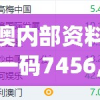 新澳内部资料精准一码7456,探索未来无限可能_灵活版.3.575