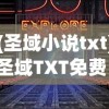 (圣域小说txt)圣域TXT免费，探索与解析