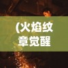 (火焰纹章觉醒贤者和暗黑骑士)火焰纹章觉醒暗黑骑士，深入解析与策略指南