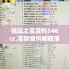 镇坛之宝资料246cc,实际案例解释落实_特性版.1.477