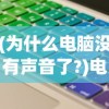 (为什么电脑没有声音了?)电脑无声危机，解决你的音频问题
