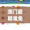 澳门最精准免费资料大全旅游团,系统分析解释落实_极速版5.923