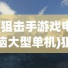 (狙击手游戏电脑大型单机)狙击手单机游戏电脑，深度体验与探索