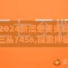 2024新澳免费资料三头7456,探索神秘财富的秘密之旅_海外款.8.416