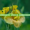 浪漫庄园植物变异大全：探寻浪漫之美，发现植物的神秘变异特征
