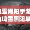 (瑰雪黑阳手游单机)瑰雪黑阳单机版，探索与解析