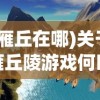 (雁丘在哪)关于雁丘陵游戏何时开服的深度分析与预测