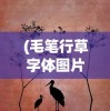(野兽领主新世界好玩吗值得玩吗)野兽领主新世界，游戏魅力深度解析，好玩吗？