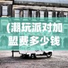 (潮玩派对加盟费多少钱一个月)潮玩派对加盟费用全面解析，多少钱？