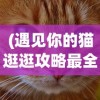 (冒险者集结手游官网)冒险者集结手游，探索未知世界的召唤