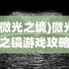 (微光之境)微光之镜游戏攻略大全及常见问题解答