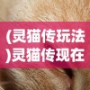 (灵猫传玩法)灵猫传现在还能玩吗，游戏状态与玩家体验探讨