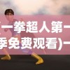(一拳超人第一季免费观看)一拳超人，英雄之路的热血传奇
